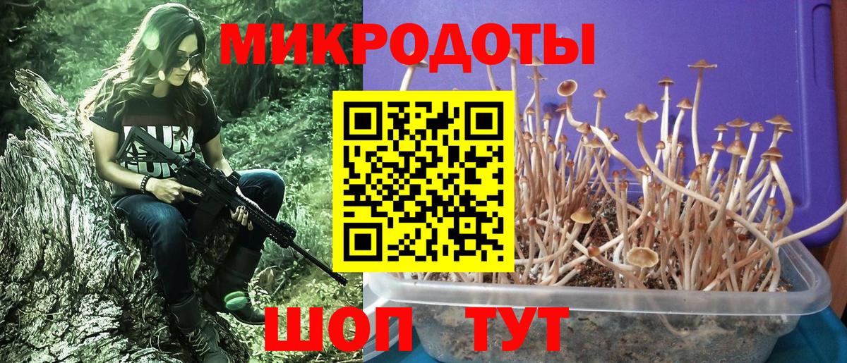 Галлюциногенные грибы GOLDEN TEACHER  Вход с VPN  Якутск  Псилоцибиновые грибы Psilocybine cubensis 